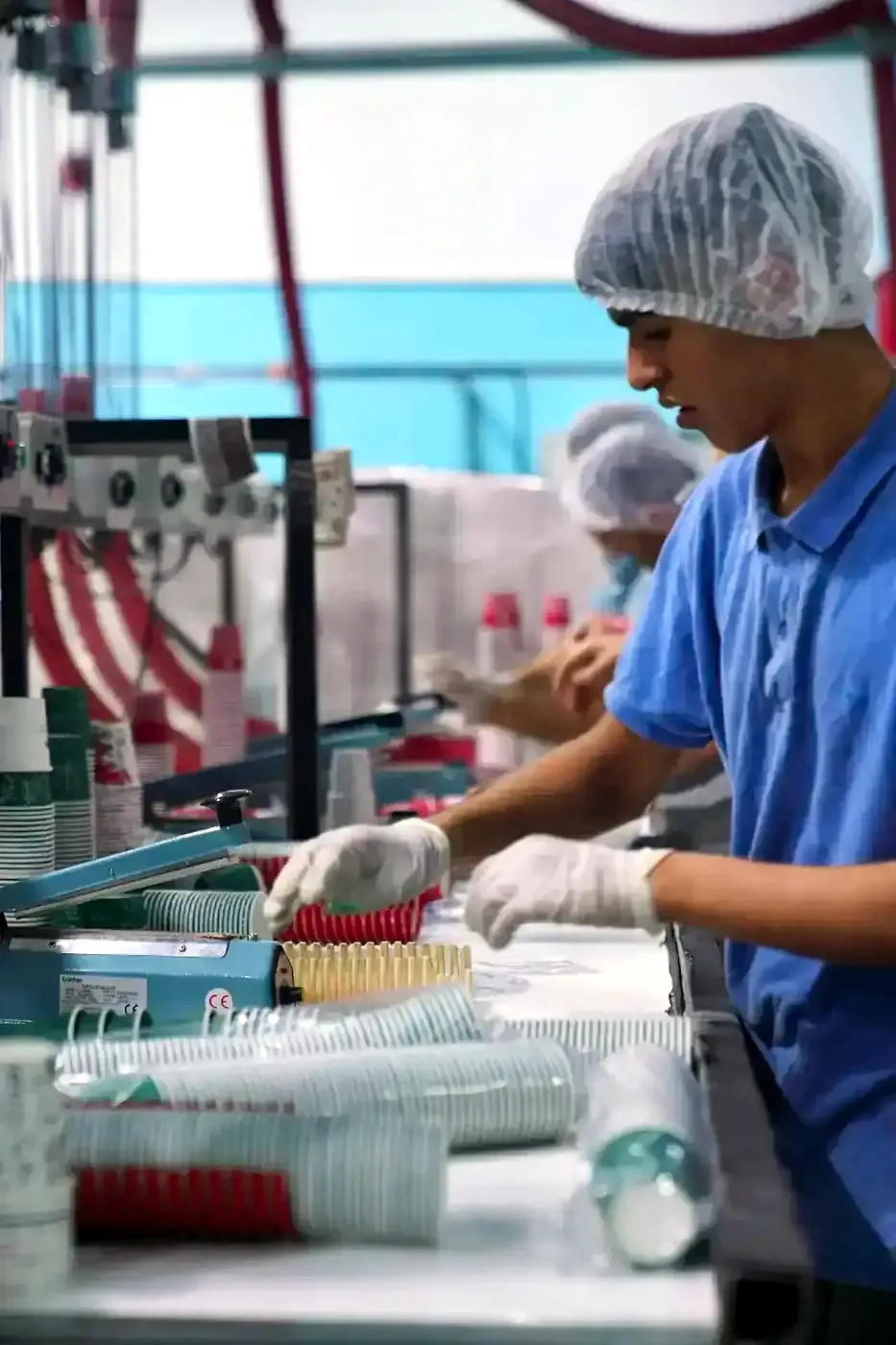 Hygienic packaging and shipment preparation