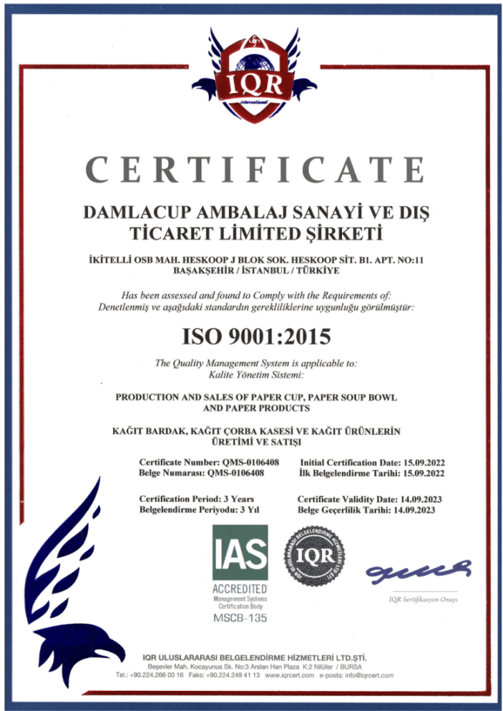 DAMLACUP ISO 9001 Certificate 800x1130 1